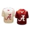 The Memory Company NCAA Gameday Salt & Pepper Shaker Set
